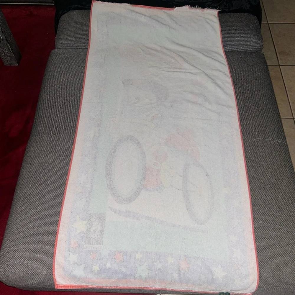 Vintage canon towel